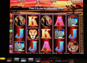 彩777ccapp最新版下载2024最新版