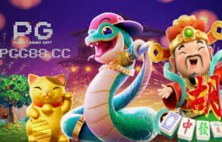 彩777ccapp最新版下载2024最新版